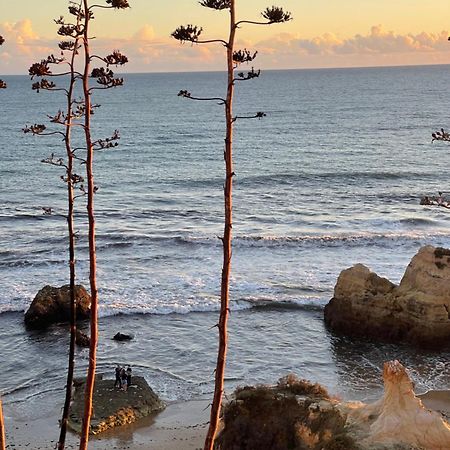 Apartamento Da Avo Te - Em Frente A Praia C Piscina 波尔蒂芒 外观 照片