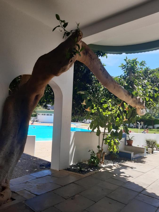 Apartamento Da Avo Te - Em Frente A Praia C Piscina 波尔蒂芒 外观 照片